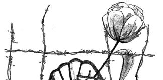 Opción por las personas empobrecidas y ser referencia comunitaria