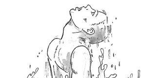 ¿Opción por Los Pobres? Una Buena Noticia que solo se hace real par-tiendo de los pobres en orden a una nueva fraternidad entre los hombres