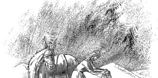 Testimonio de la lucha contra la injusticia y la exclusión en el Mato Grosso Tetimonio de la lucha contra la injusticia