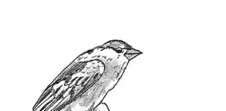 El grito de nuestra iglesia Nuestra iglesia