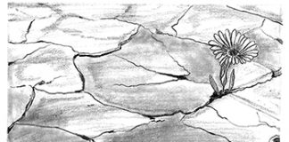 Pedro Casaldáliga: Rebelde con causa, subversivo con propuesta