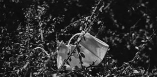 Transpandemia, ¿Qué hacer? Transpandemia, ¿Qué hacer?