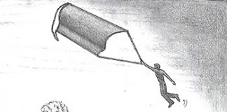 La pandemia: una mirada distinta La pandemia: una mirada distinta