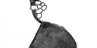 Derechos trans y feminismo Derechos trans y feminismo