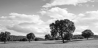 ¿Y si estuviéramos dejando pasar la última oportunidad del campo? El campo, es el sitio donde se arraigan los recuerdos de nuestras abuelas y abuelos