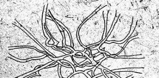 ¡Hasta aquí hemos llegado!