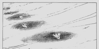 Concretando el Decrecimiento