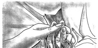 Revuelta de los mayores Revuelta de los mayores