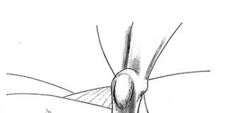 Caminos de igualdad Caminos de igualdad